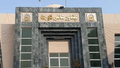 پشاور ہائیکورٹ : ایلمینٹری اینڈ سیکنڈری ایجوکیشن کمپیوٹر آپریٹرز کےلئے سروس سٹرکچرز نہ بنانے پر جواب طلب