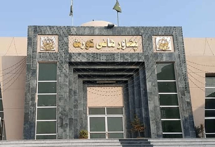 پشاور ہائیکورٹ : ایلمینٹری اینڈ سیکنڈری ایجوکیشن کمپیوٹر آپریٹرز کےلئے سروس سٹرکچرز نہ بنانے پر جواب طلب